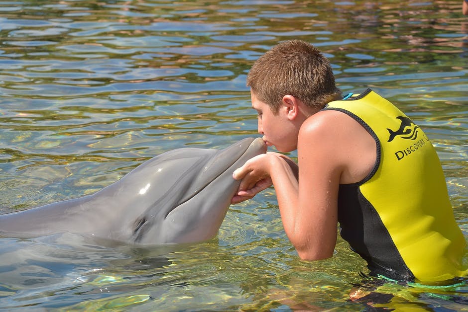 Kid with a dolphin