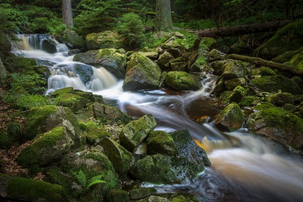 Streams and other sources of running water is what you need to look for if you have forgotten your stash of drinking water.