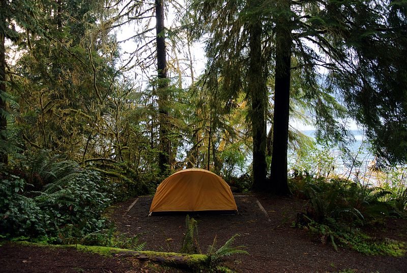 Camping site on the shores of Lake Quinault – Author: Adbar – CC BY-SA 3.0