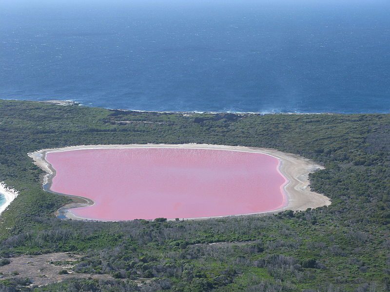 The Lake Hillier, Middle Island, Recherche Archipelago Nature Reserve, in Western Australia, is a saline lake notable for its pink color – Author: Aussie Oc – CC BY-SA 4.0