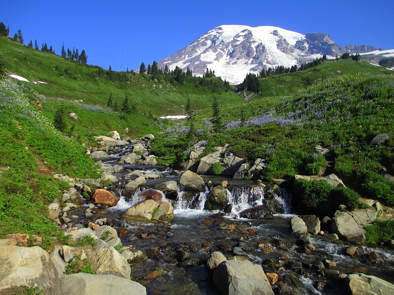Mount Rainier from above Myrtle Falls in August – Author: Samuel Kerr – CC BY-SA 3.0