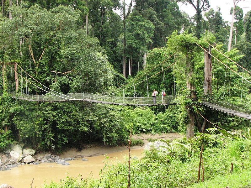 Footbridge to the tropical rainforest in Danum Valley – Author: Rob and Stephanie Levy – CC-BY 2.0