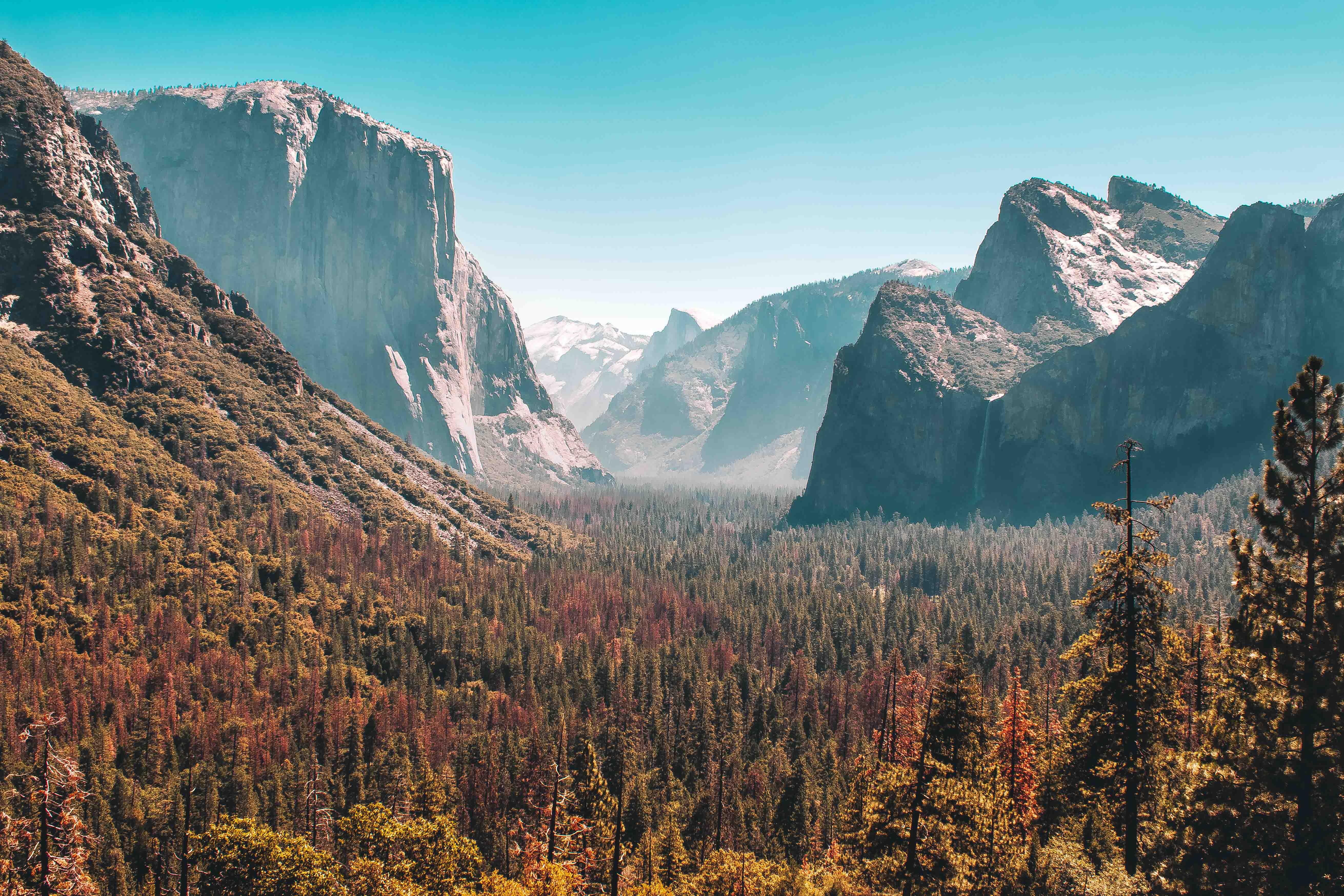 Visiting Yosemite National Park? Check out this guide.