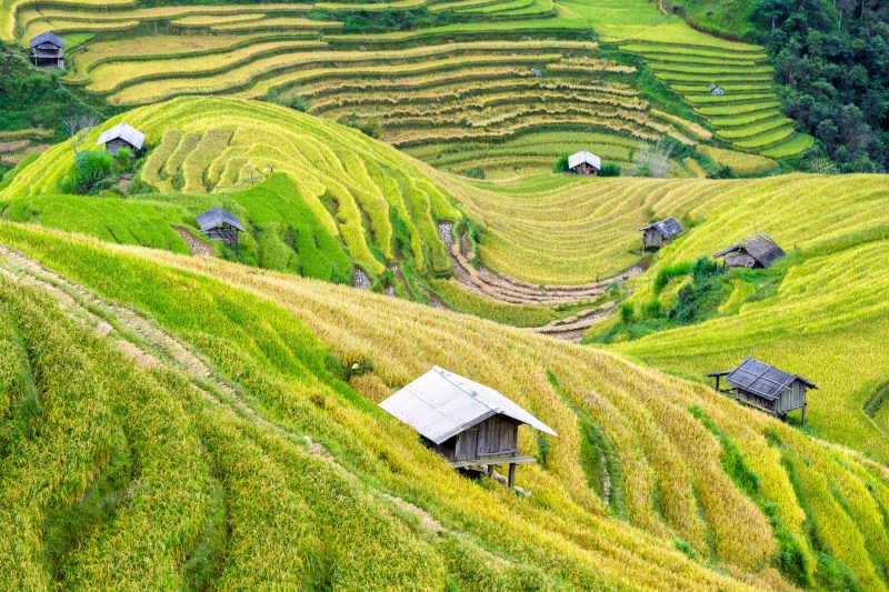 Visit the vast hills of Vietnam.