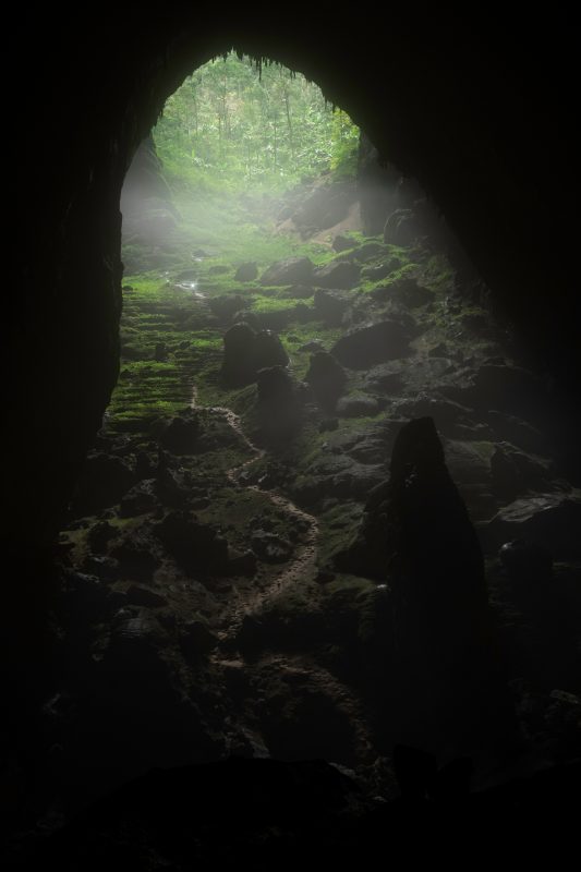 The cave is so vast that it has its own climate