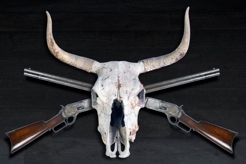 Antique cowboy lever action rifle and cow skulls – the tools and the trophies of the trade.