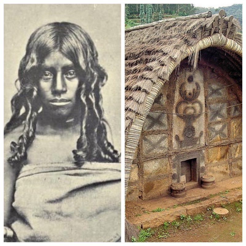 The Original Homes Of The Toda People An Ancient Indian Tribe