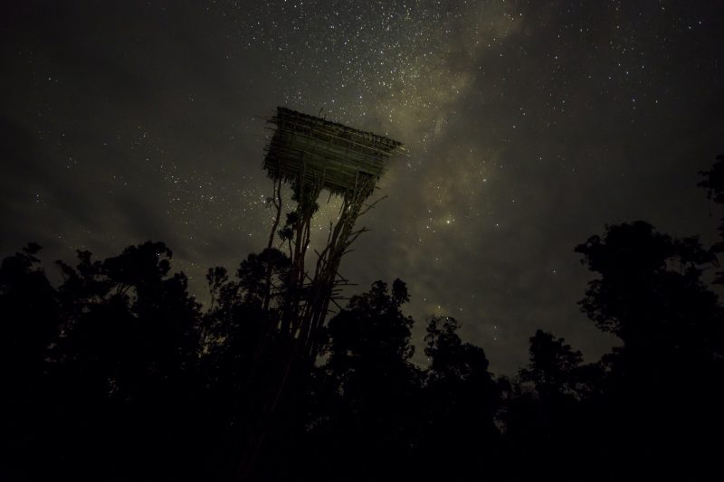 What a view! The tree houses look great under the night stars.