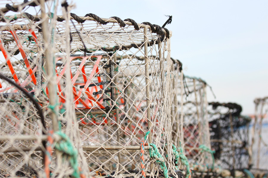 crab cages ready to be dropped