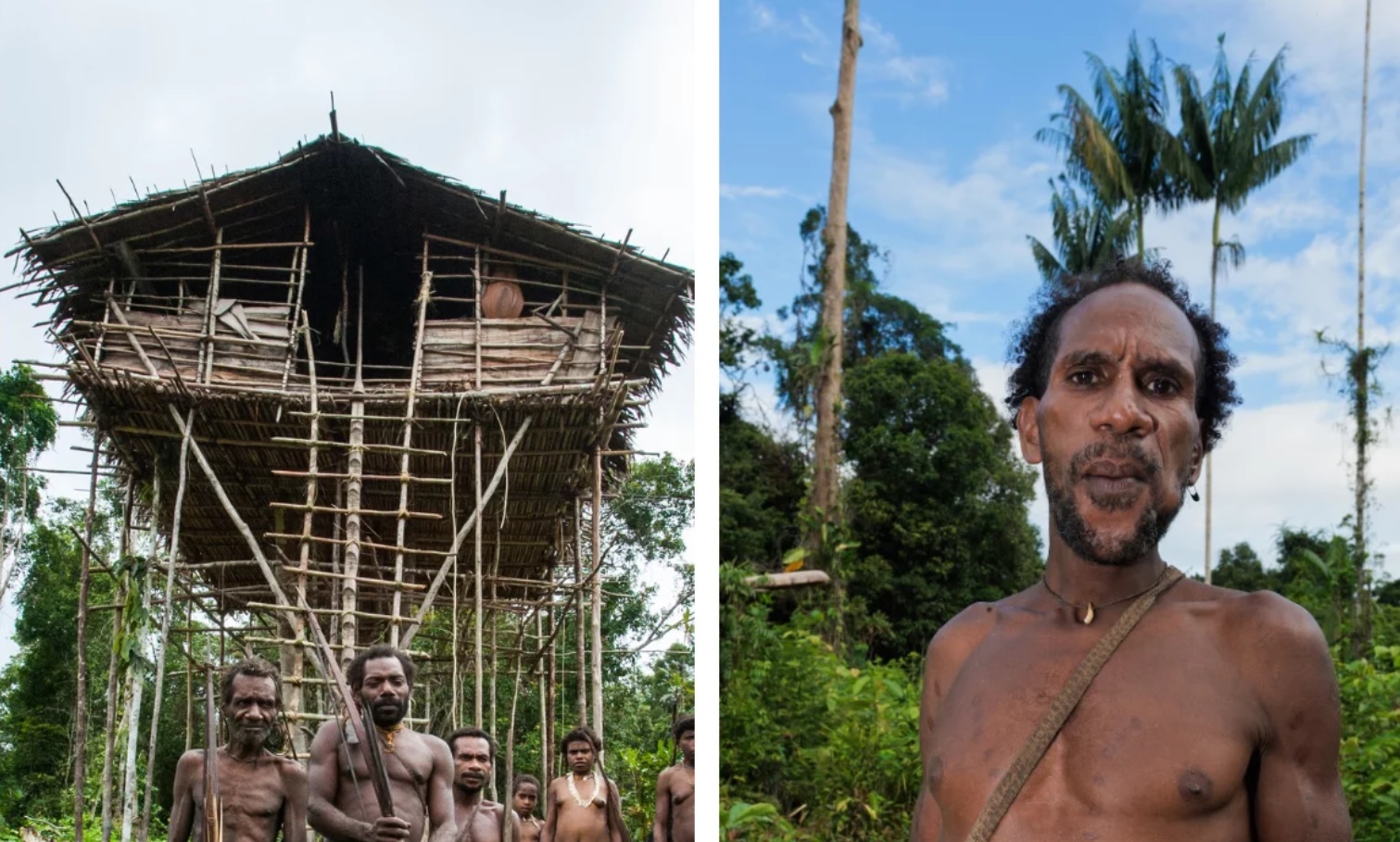 The Korowai Tribe – Cannibals of Papua New Guinea