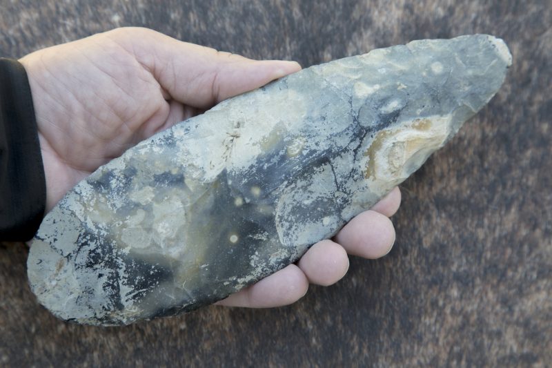 A flint tool can be used for butchering animals
