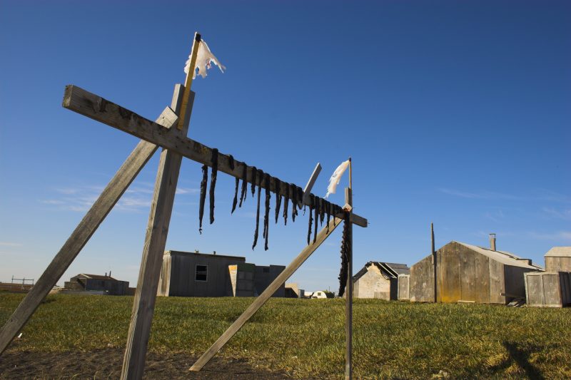 Traditional Inuit food, reindeer jerky, drying on a wooden rack in Barrow, Alaska, USA