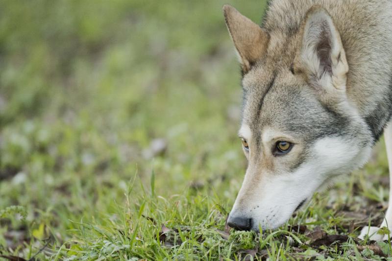 GettyImages-1041194164