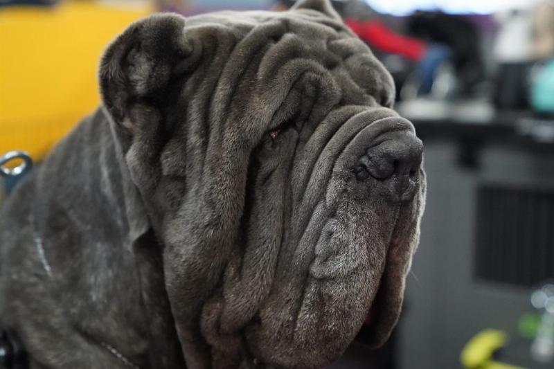 GettyImages-1124269684