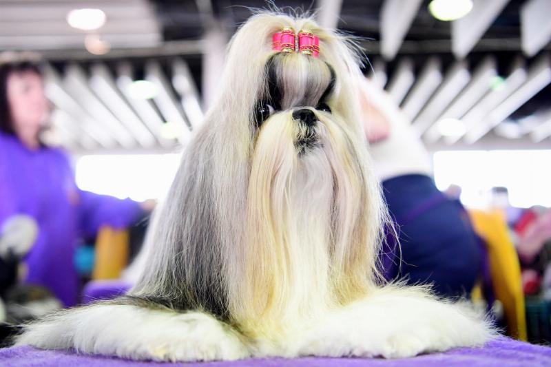 GettyImages-1128993783