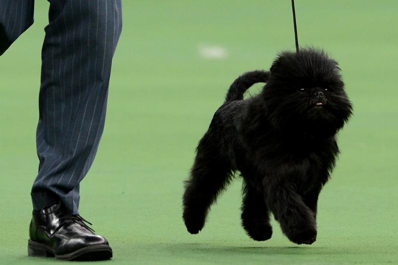 GettyImages-161607888