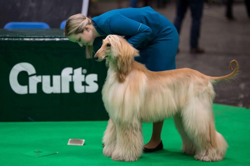 GettyImages-929685772