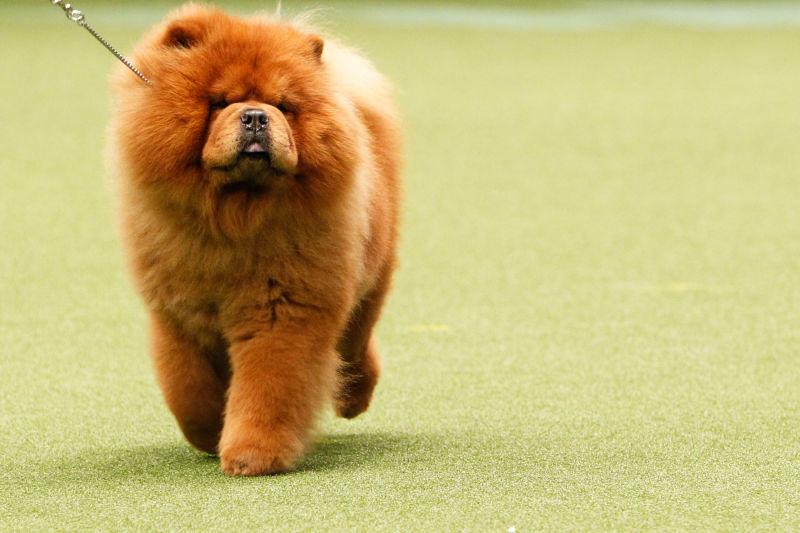 GettyImages-930643278