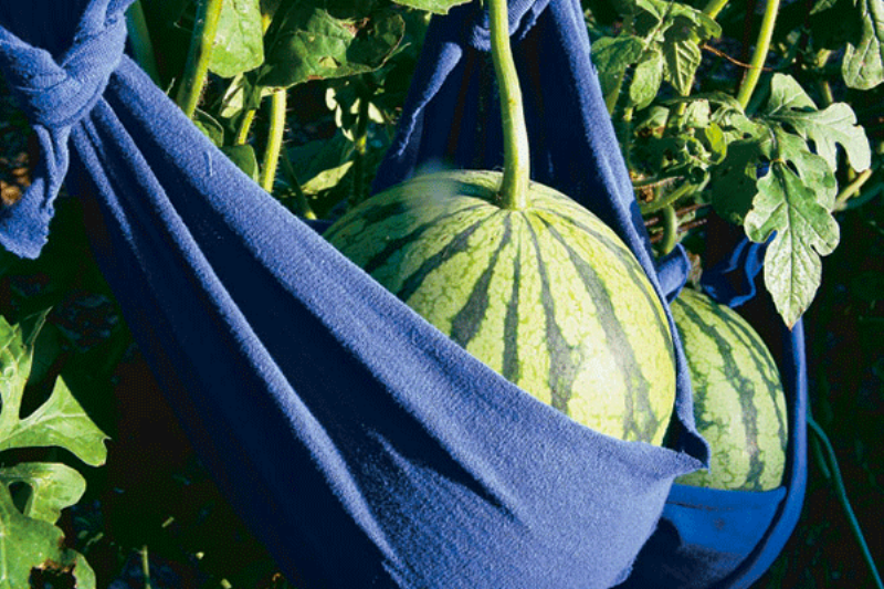 Screen Shot 2019-03-19 at 12.05.02 PM