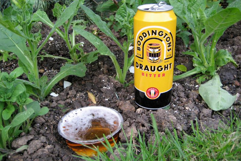beer-slug-trap