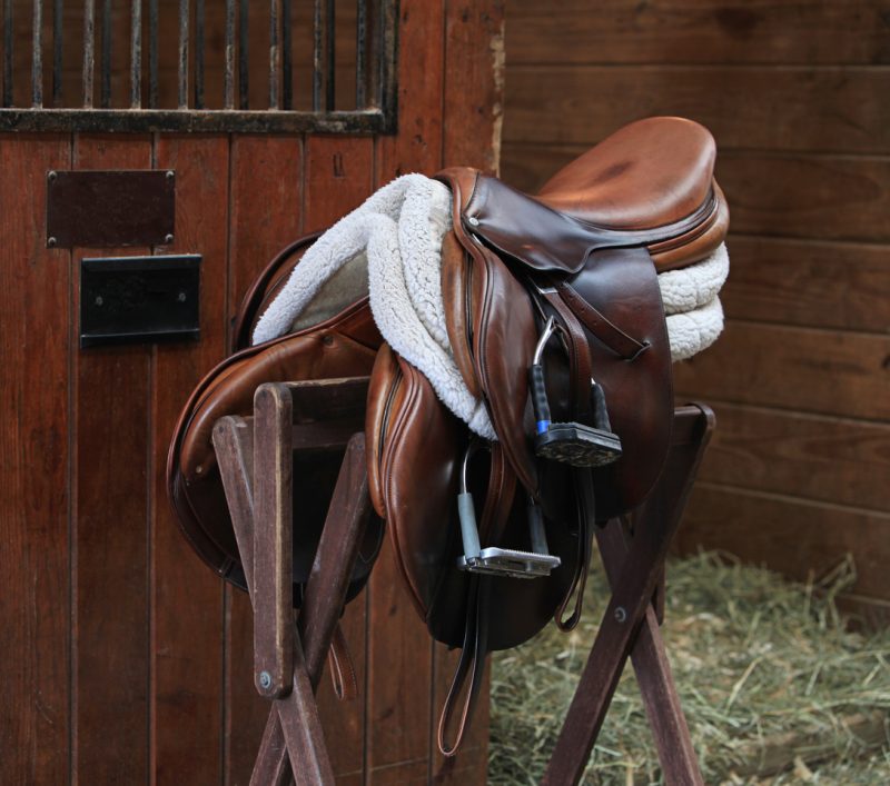 The cantle (back of the seat) of the Western saddle is considerably different to that of an English saddle