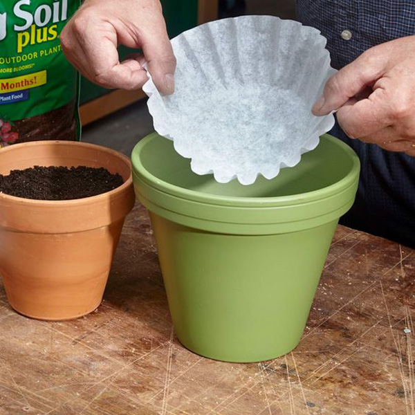 coffee-filter-plant-liner
