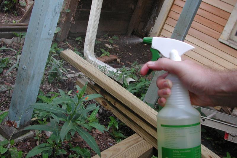 garlic-mint-insect-spray