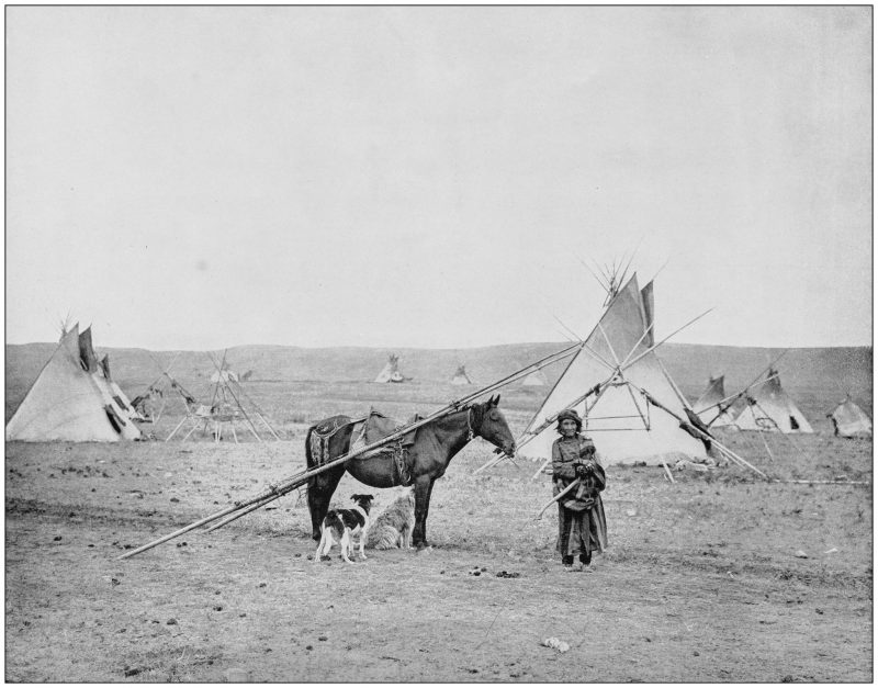 An old photograph of an American Indian pony and camp
