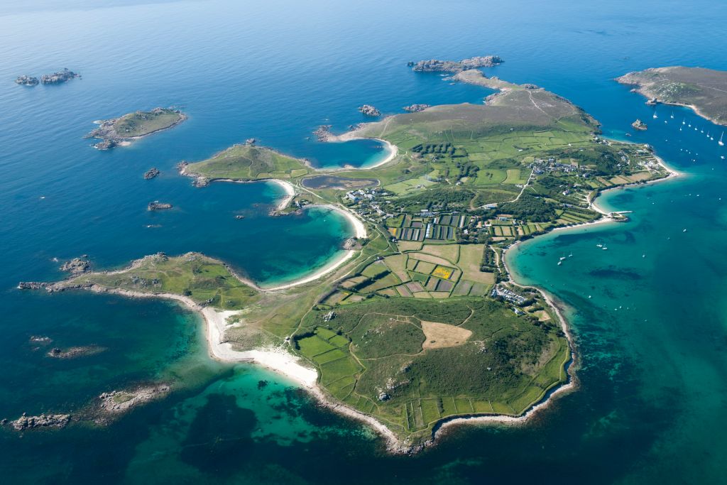 scuba-seal-encounter-2