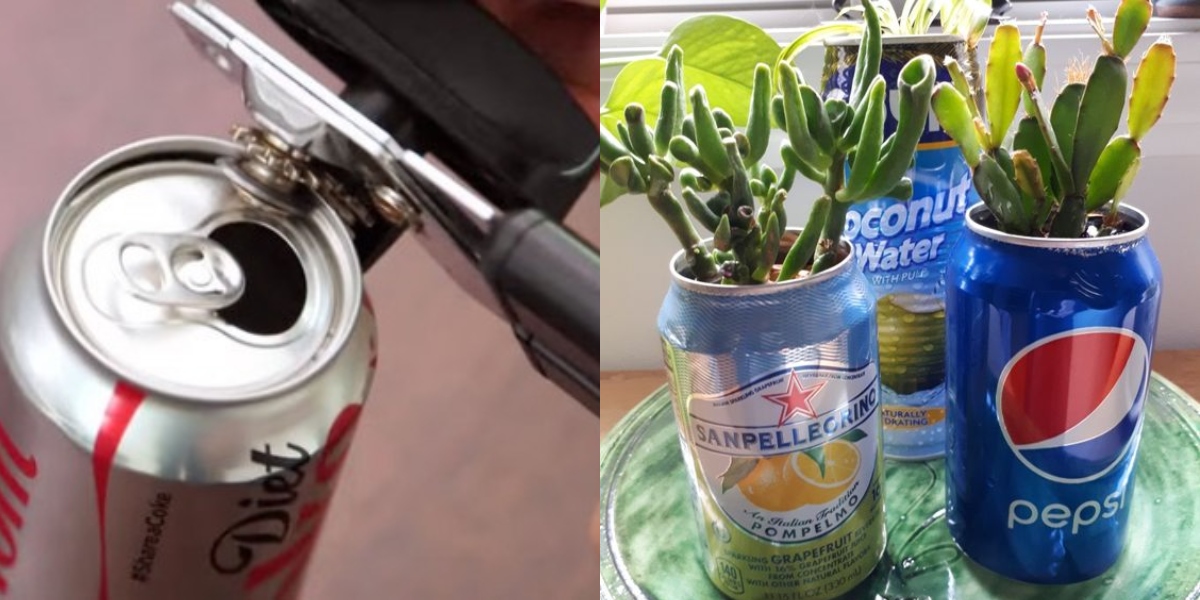 soda can planter