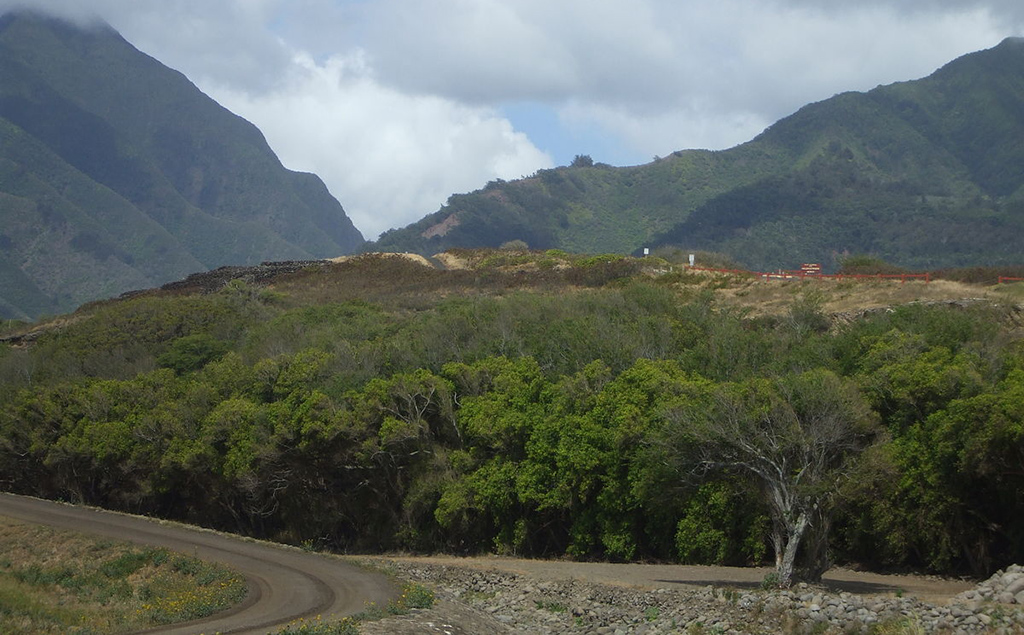 Haleki'i Pihana Heiau State Monument