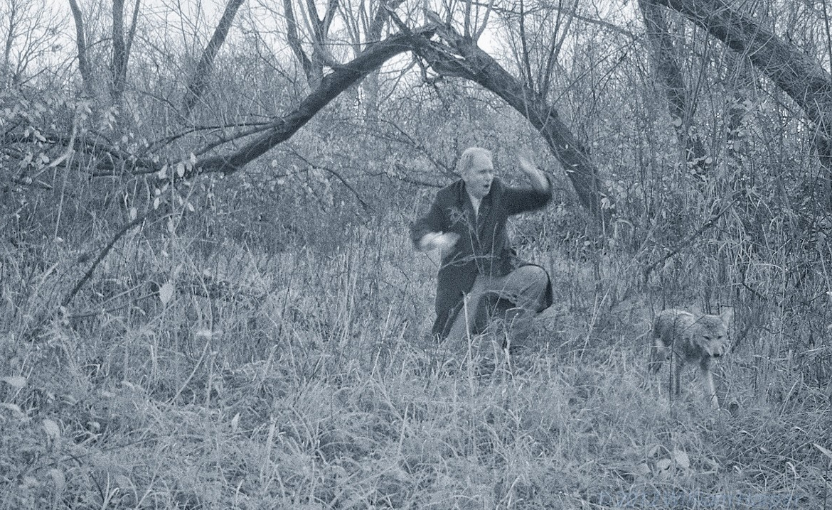 trail cam image man wolf