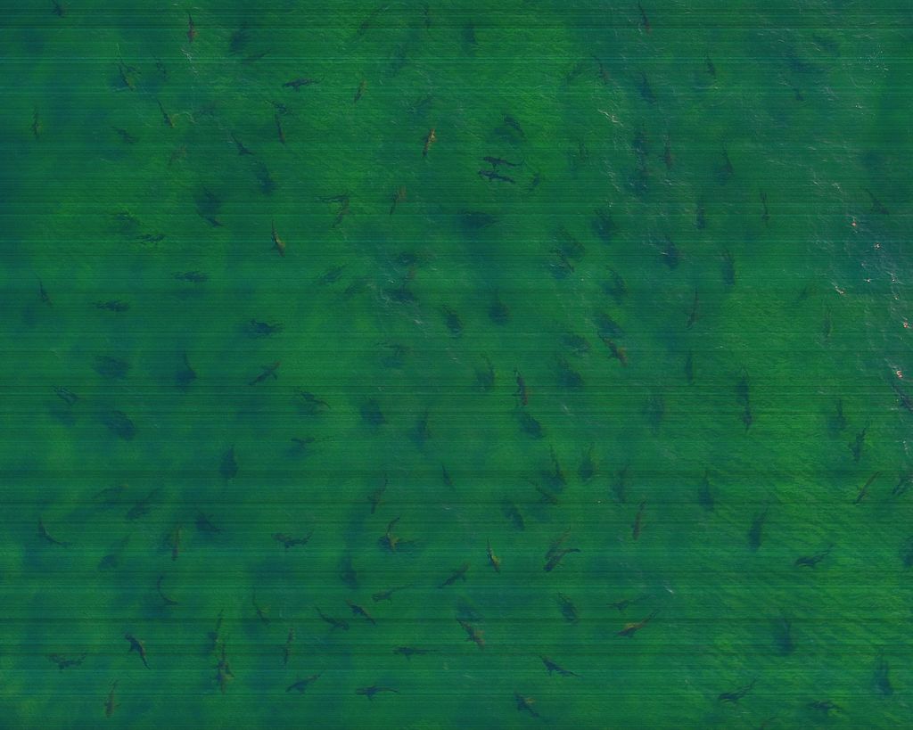 GettyImages-108813118