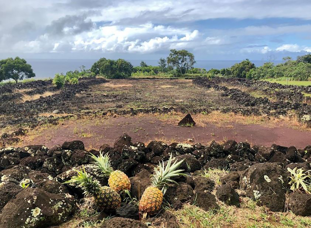 Pu’u o Mahuka Heiau