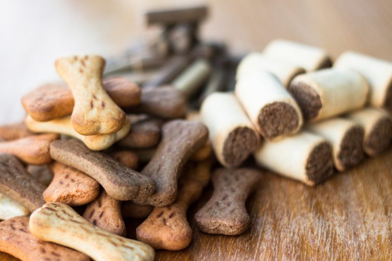 Some high-calorie dog biscuits should be added as a food source if things really go sideways