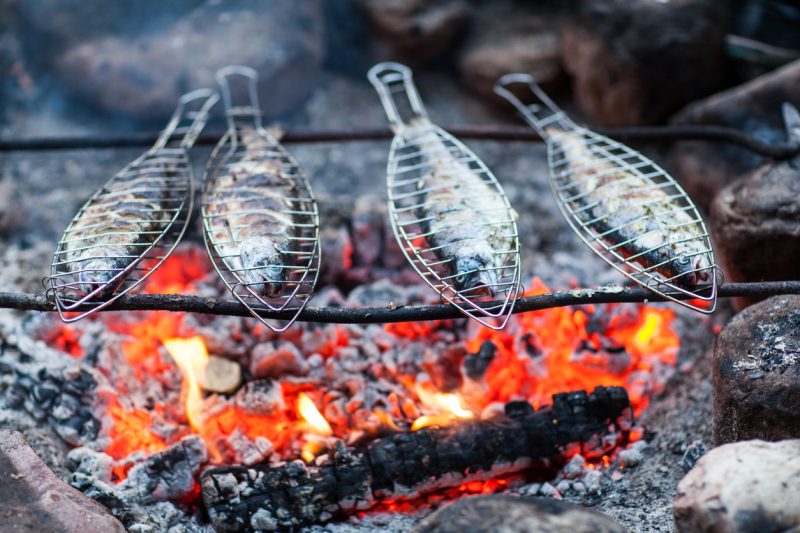 Grilling fish on a campfire