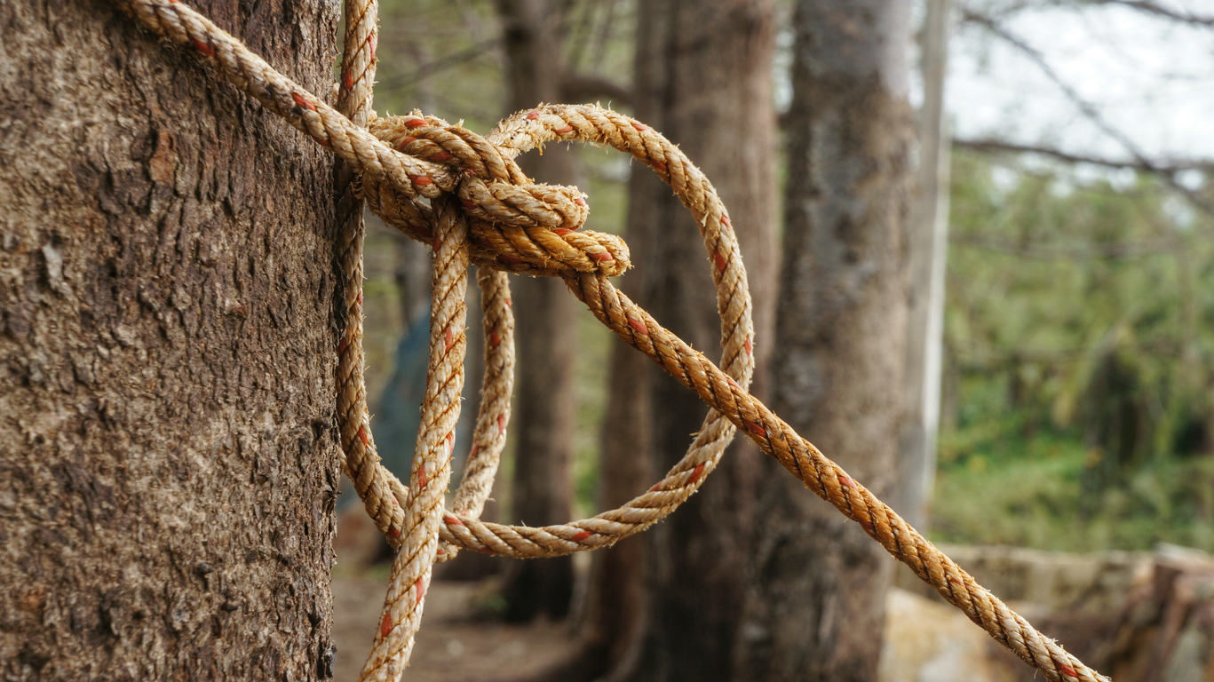Knowing these knots will get you through most situations you will encounter