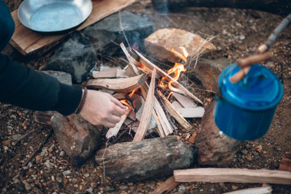 Start with small pieces of wood, moss, dry grass, cotton, and wood shavings for your kindling to get your fire going.