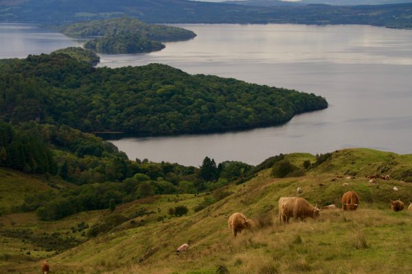 The view from Conic Hill on Loch Lomond.