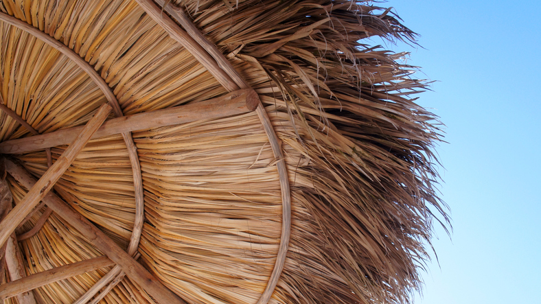 A palapa roof lasts about 20 years before it deteriorates to the point where it needs to be replaced.