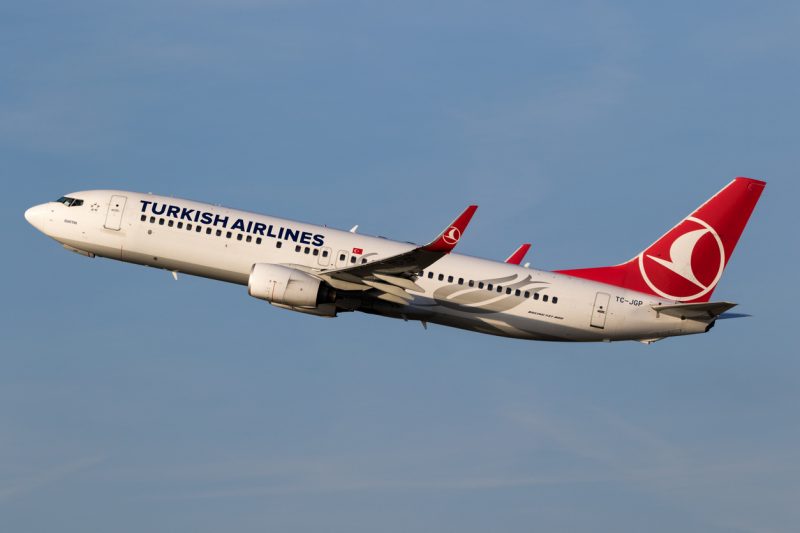 World Animal Protection launched a petition against Turkish Airlines, hoping the airline would begin taking illegal smuggling more seriously