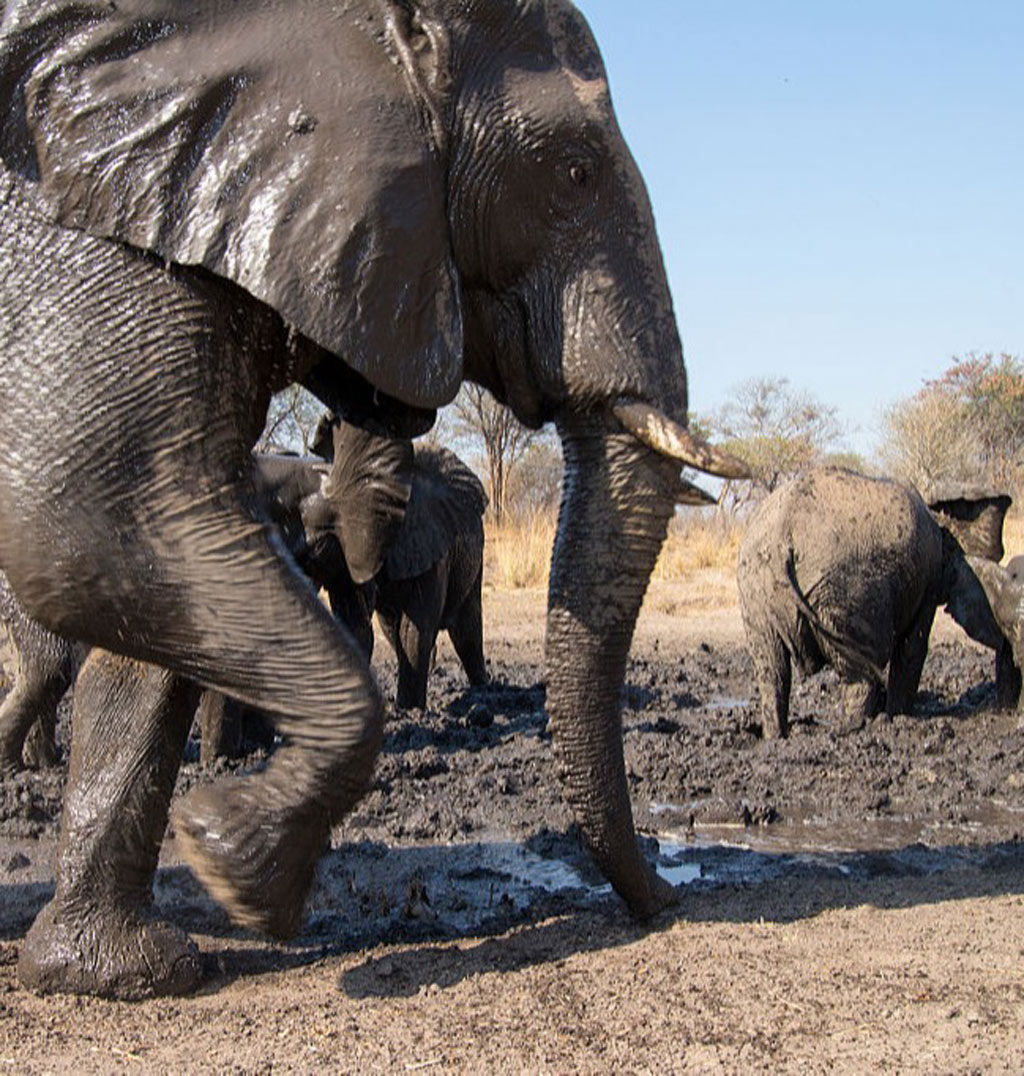 GettyImages-509514454-17234