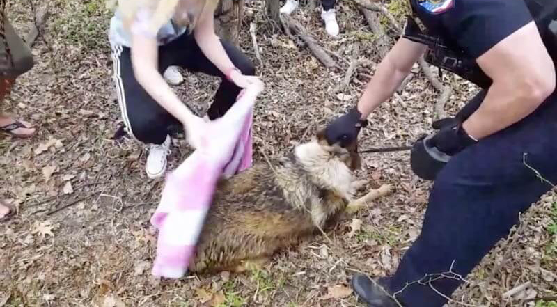 calling-in-professionals-15989