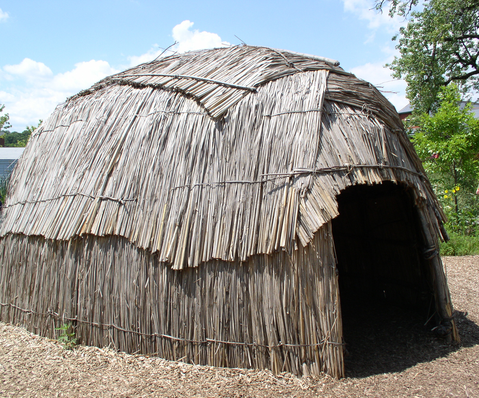Survival Shelter - The Wigwam