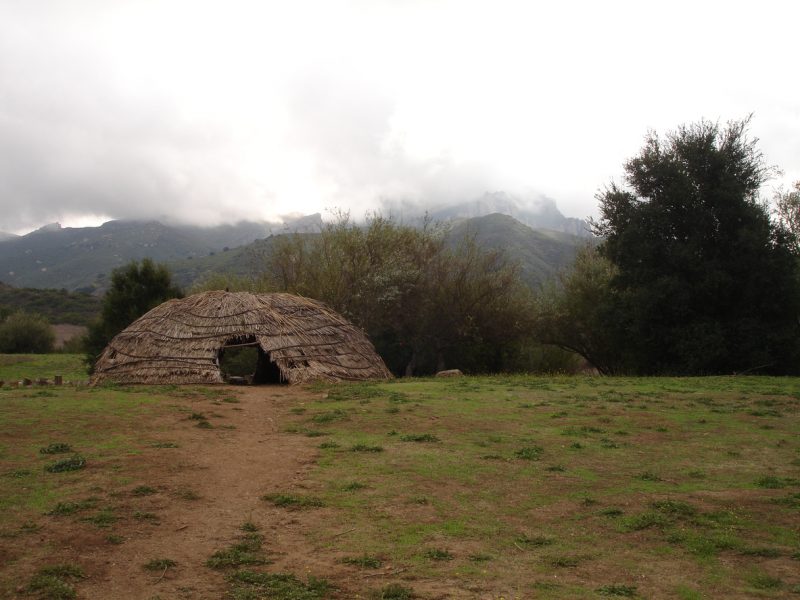 A wigwam is a permanent hut, made of saplings and tree bark