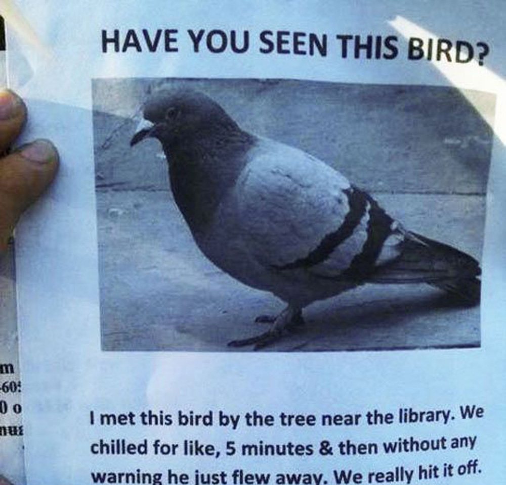 crazy guy misses bird sign 