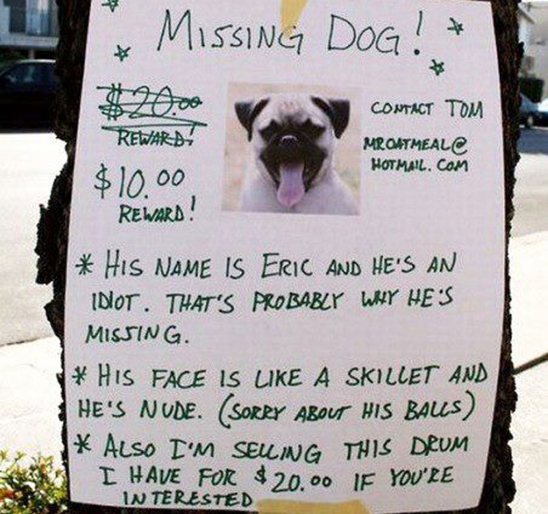 missing idiot dog and a drum for sale 
