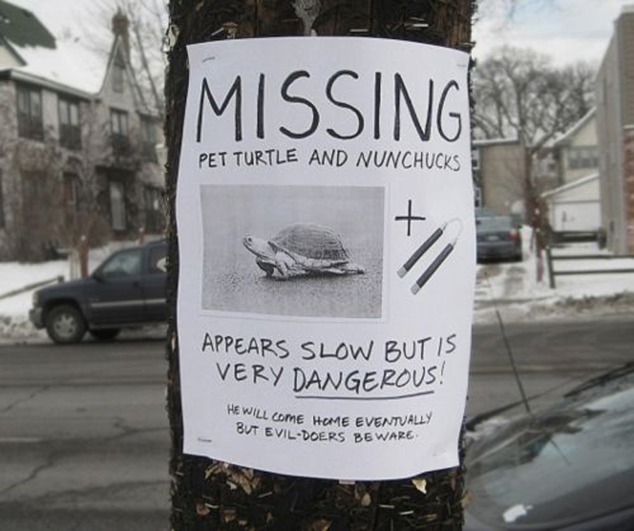 missing NINJA TURTLE ON THE LOOSE