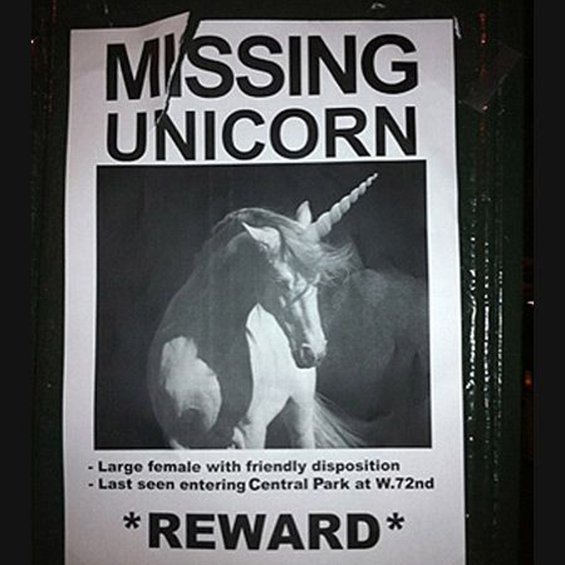Missing Unicorn that somebody really wants to find. 