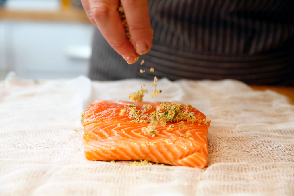 Salmon 